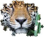 JAGUAR IN THE JUNGLE - Image 3