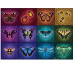 Winged Things - Image 3