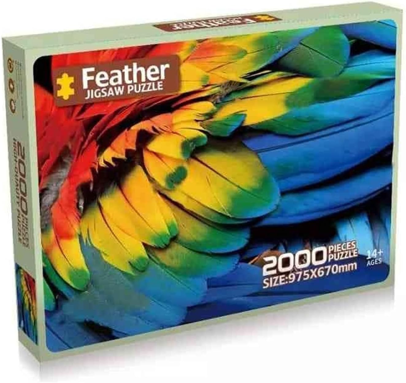FEATHER FEATHER - Image 1