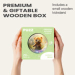 Bubblezz Bear - Image 6