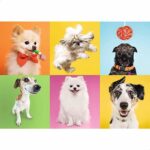 Dogs - Image 3