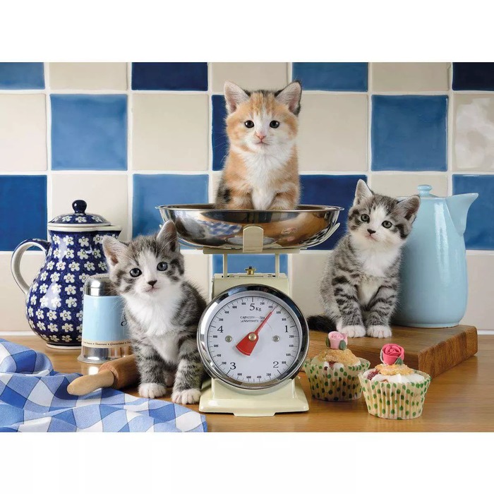 Kittens in the Kitchen – 1500 Pieces – finished puzzle image