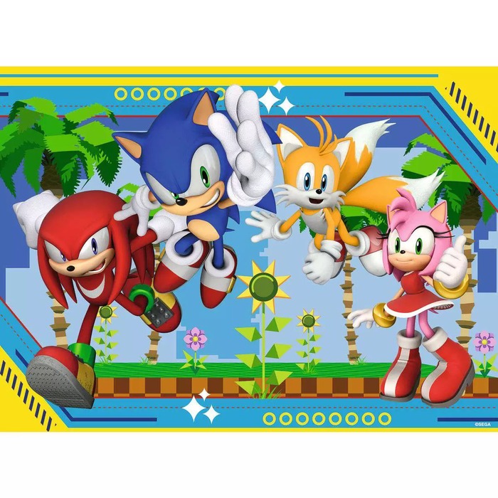 Sonic Nothing Can Stop Sonic – 100 XXL Pieces – finished puzzle image